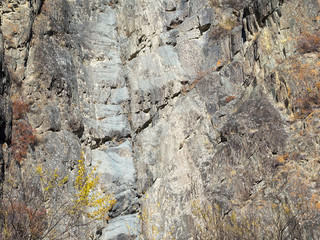 Wide gray stripe on the surface of the mountain.