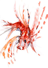Pleasing toy fish aquarelle