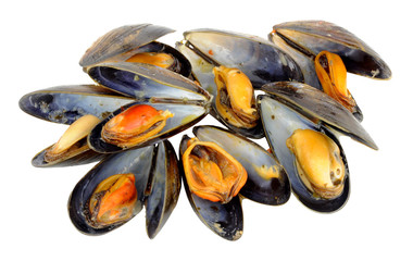Freshly Cooked Mussels