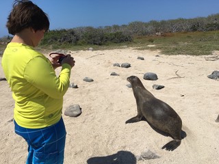 A boy takes a photo of a Galapagos Sea Lion