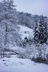 Verschneite Winterlandschaft im Schwarzwald mit Hausgiebel und Tannenbaum