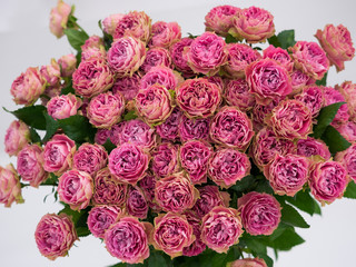 ピンクのバラの花