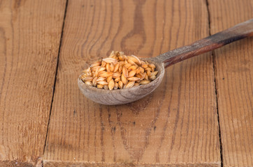 organic barley grain