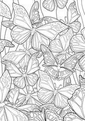 Adult Coloring book – illustration. Tattoo set: Butterflies. Vector illustration.