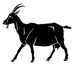 goat silhouette isolated 
