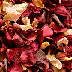 Naklejka premium petali di rosa secchi, sfondo, formato quadrato, luce naturale