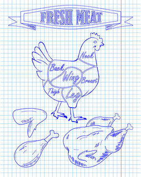 chicken diagram and pieces of meat