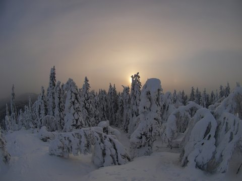 Finland winter I