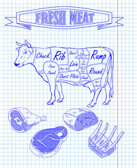 beef scheme and pieces of meat