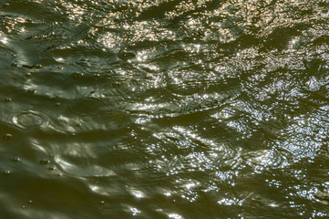 Wave green water. Soft focus