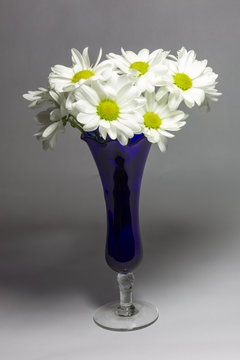 Fototapeta Daisies in a blue vase