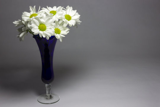 Fototapeta Daisies in a blue vase