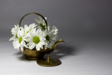 Daisies in a copper kettle