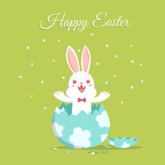 Obraz na płótnie Canvas Easter bunny in broken egg