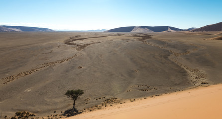 Fototapeta na wymiar Namib Desert (near Sossusvlei)