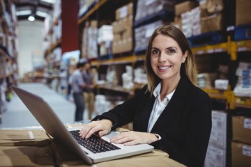 Fototapeta premium Warehouse manager using laptop