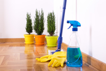 House cleaning concept