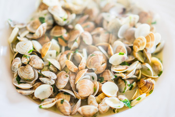 Close-up of delicious mussels soup