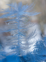 Slightly blurred beautiful frostwork on a window glass (as an abstract winter background)