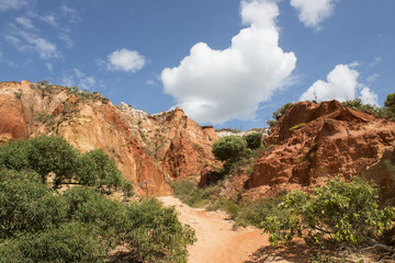 Fototapeta na wymiar Desierto de rocas y arena rojas y blanca en la costa australiana de Queensland, 