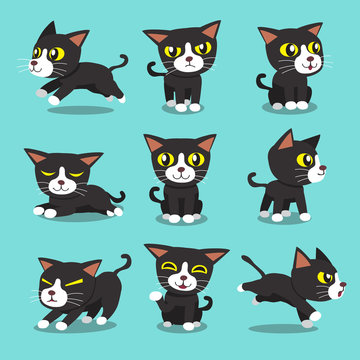 Cartoon Character Cat Poses