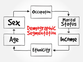 Demographic segmentation mind map flowchart social business concept for presentations and reports