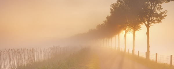 Foggy sunrise in typical polder landscape in The Netherlands - obrazy, fototapety, plakaty
