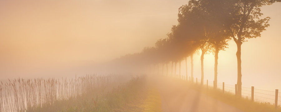 Foggy sunrise in typical polder landscape in The Netherlands