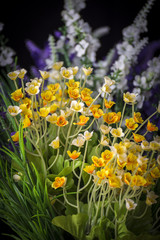 Obraz premium Flowers