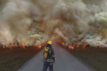 Firefighter trying to prevent the spread of natural disaster - obrazy, fototapety, plakaty