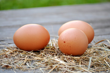 Rohe Hühnereier auf Stroh