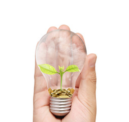 Energy saving light bulb, Creative light bulb idea in hand