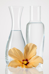 Two vases with clean water and hibiskus flower © Radomir Rezny