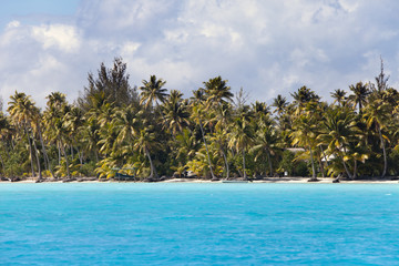 Obraz na płótnie Canvas island with palm trees in the ocean