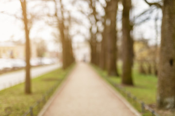 blurred background of small town in spring 
