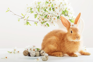 Red rabbit with Easter eggs on white background