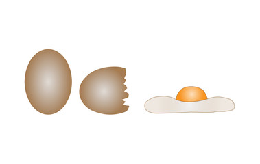 Egg of hen of different kinds on a white background