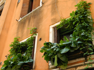Window in Venice