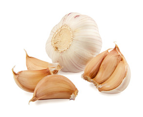 still life of garlic