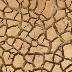 Red sand after rain. Maxixe, Inhambane, Mozambique, East Africa