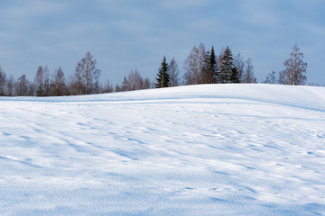 Obraz premium Winter landscape, Latvia.