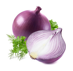 Purple onion parsley dill isolated on white background