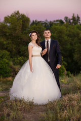 Young wedding couple in the field. Noise and toned image