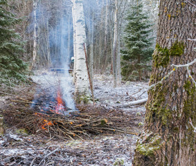 Campfire in the forest