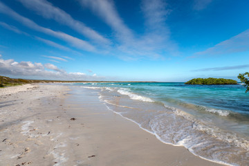  Beach in Santa Cruz Galapagos