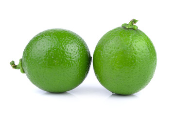 lime on white background