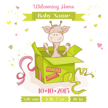 Baby Giraffe in a Box - Baby Shower or Arrival Card - in vector