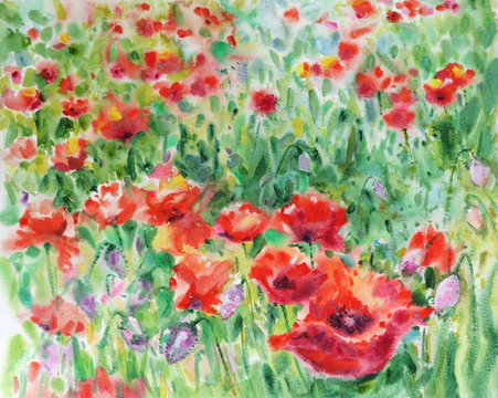 Red poppies flowers background, watercolor.