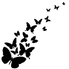 Papier Peint photo Lavable Papillon butterflies design