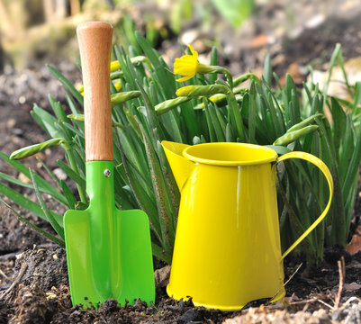 petits outils de jardinage color&eacute;s et narcisses 